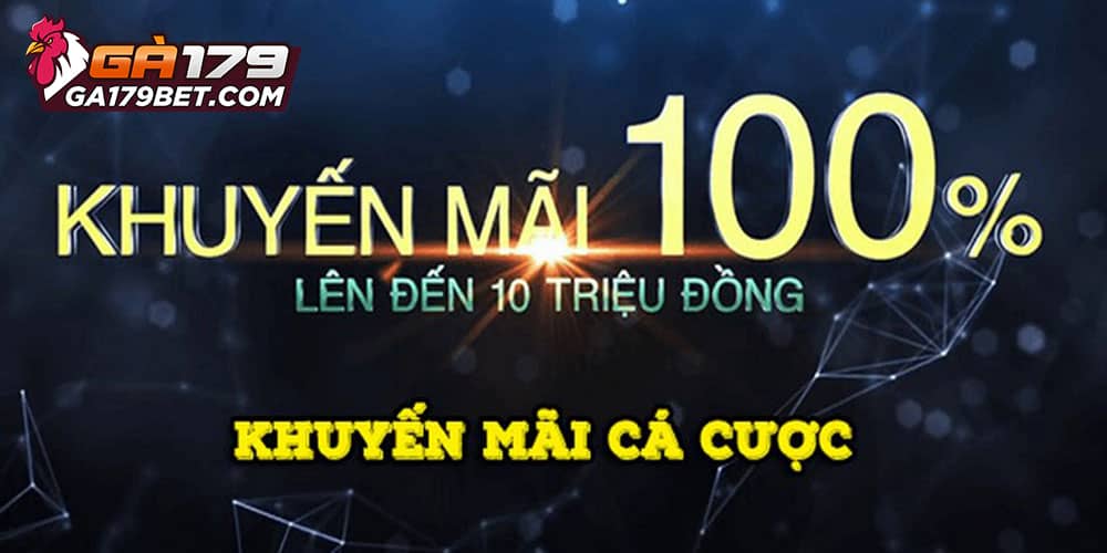 Điều Khoản Và Điều Kiện Tối Ưu Đại Lý GA179 Cung Cấp 3 dieu-khoan-va-dieu-kien-loi-the-quan-trong