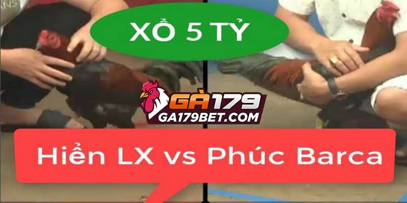 Những Trận Đá Gà Cựa Sắt Kinh Điển, Đáng Chú Ý Nhất 4 nhung-tran-da-ga-cua-sat-kinh-dien-hien-long-xuyen-phuc-barca
