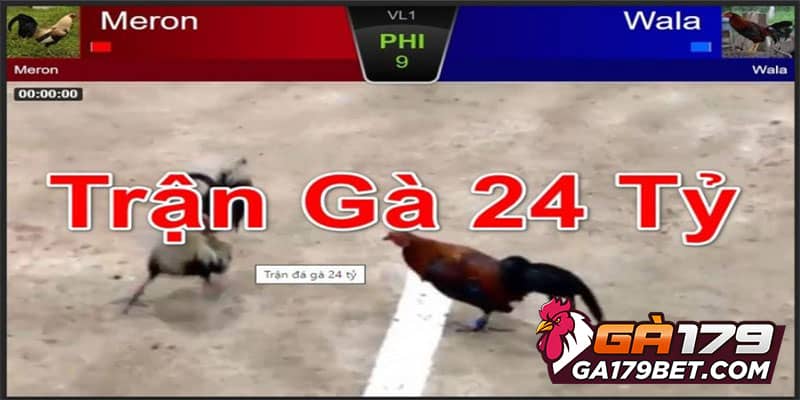 Những Trận Đá Gà Cựa Sắt Kinh Điển, Đáng Chú Ý Nhất 3 nhung-tran-da-ga-cua-sat-kinh-dien-phuc-barcelona-mit-tra-cu